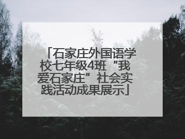 石家庄外国语学校七年级4班“我爱石家庄”社会实践活动成果展示